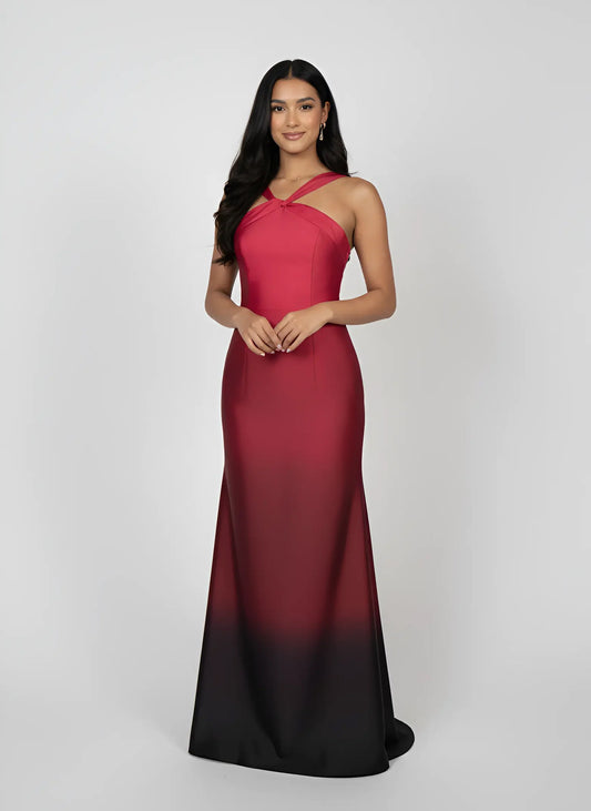 Solara Maxi Dress in Crimson Josh And Nicol