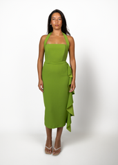 Fleur Midi Dress in Green Josh And Nicol